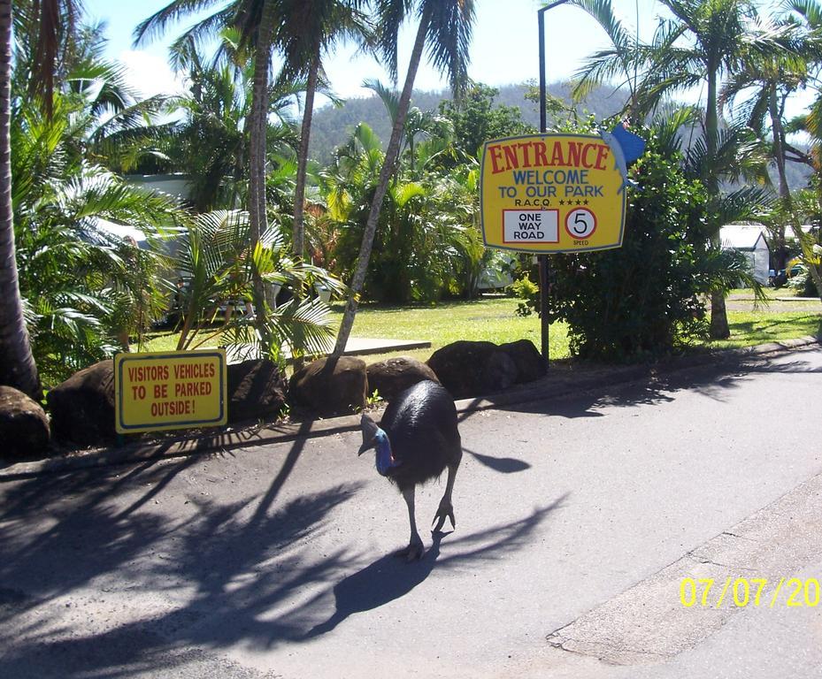 Flying Fish Point Tourist Park Hotel Innisfail Eksteriør billede