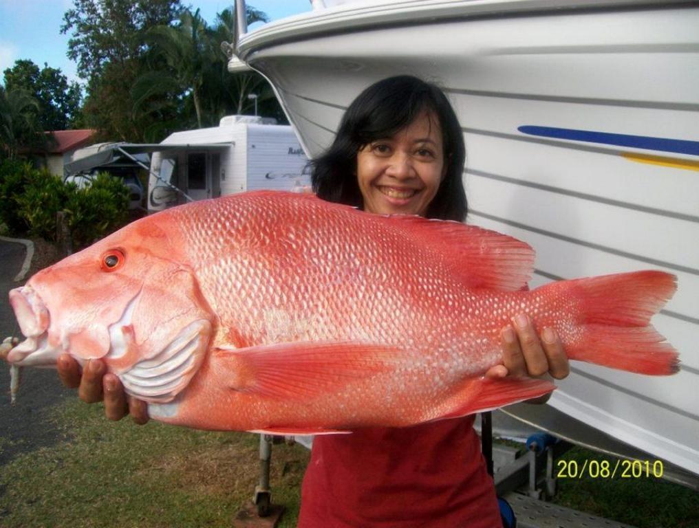 Flying Fish Point Tourist Park Hotel Innisfail Eksteriør billede