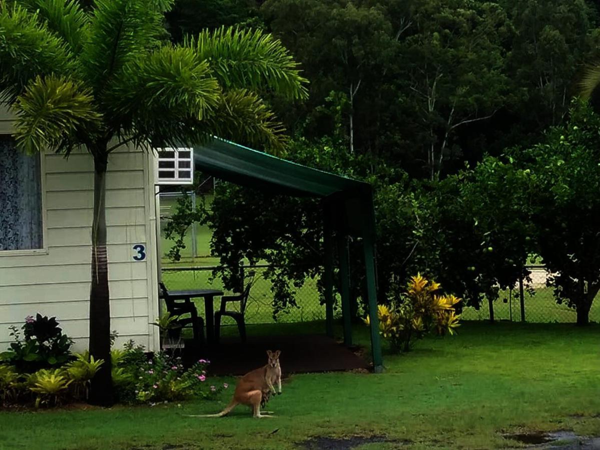 Flying Fish Point Tourist Park Hotel Innisfail Eksteriør billede